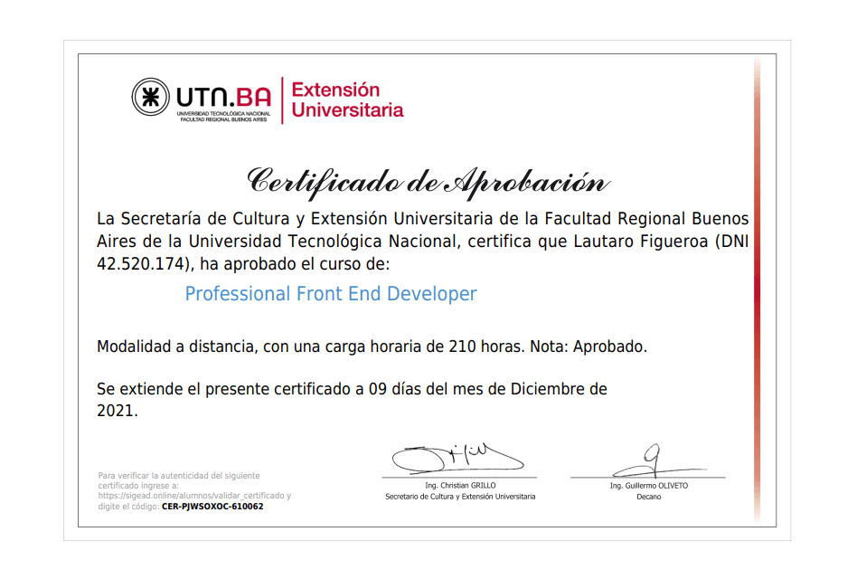 Professional Frontend Development certificate